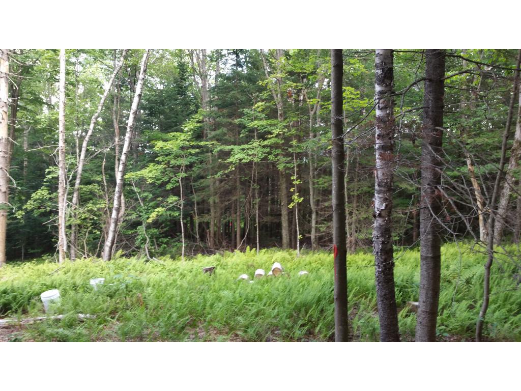 Lot 17 Rue Madeline Readsboro, VT 05350 - Photo 4 of 11