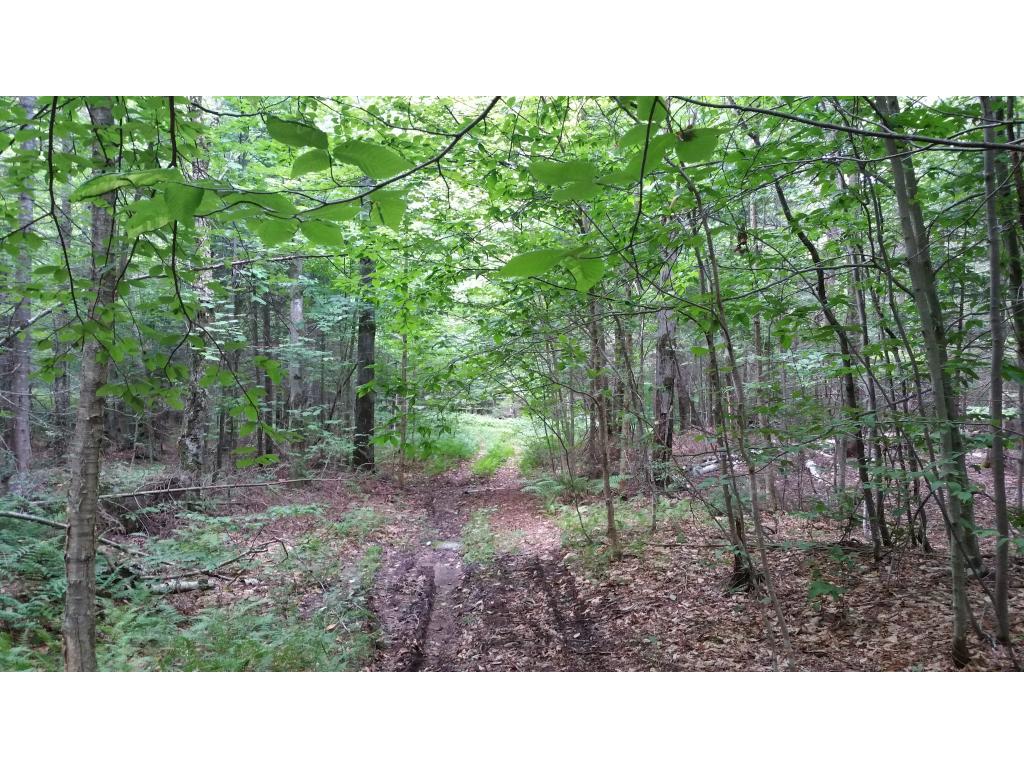 Lot 17 Rue Madeline Readsboro, VT 05350 - Photo 5 of 11