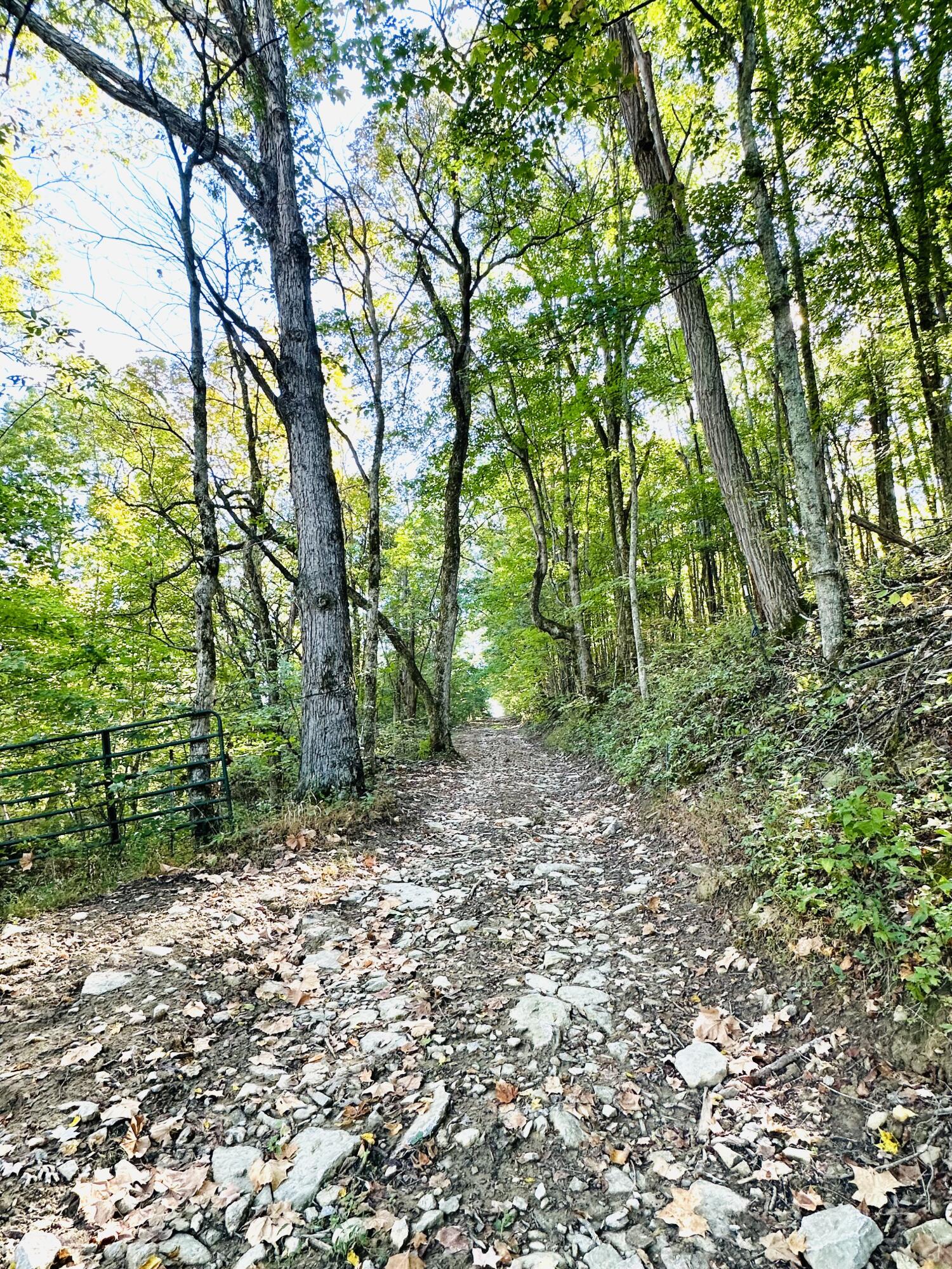 203 Chaplin Road Willisburg, KY 40078 - Photo 38 of 77 IMG_8186
