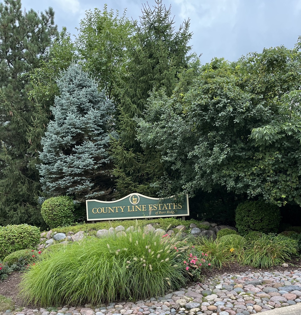 1 Hidden Lake Drive Burr Ridge, IL 60527 - Photo 24 of 24 a front view of a house with a yard