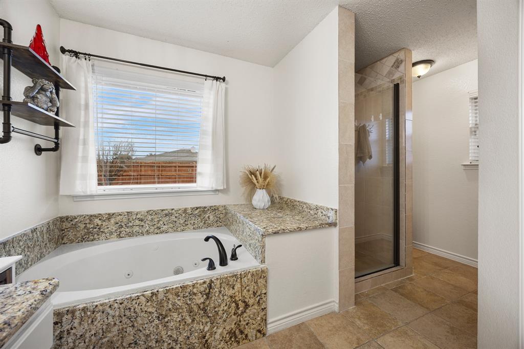 7210 Mercurys Road Rowlett, TX 75089 - Photo 17 of 26 a bathroom with a granite countertop tub sink and mirror