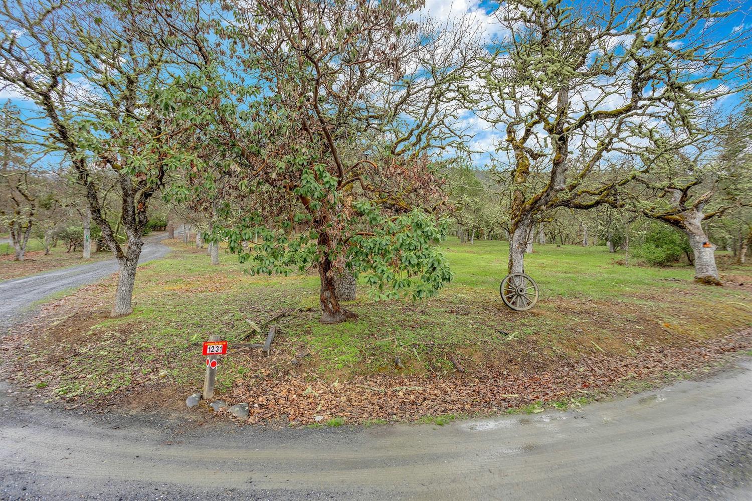 1231 Upper Applegate Road Jacksonville, OR 97530 - Photo 31 of 35 Additional Photo
