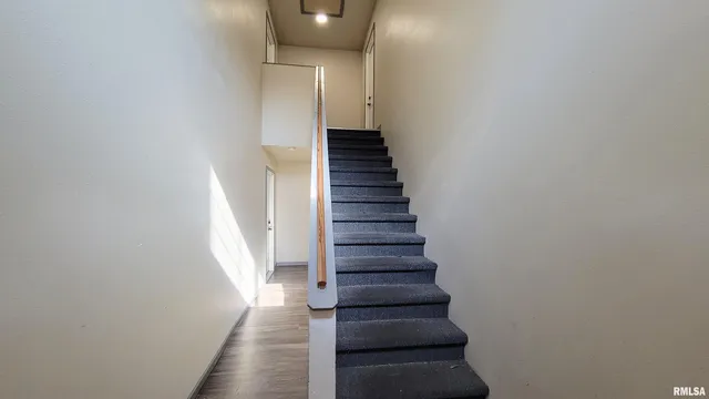 $425,000 | 411 East Hester Street, Carbondale, IL 62901