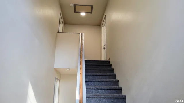 $425,000 | 411 East Hester Street, Carbondale, IL 62901