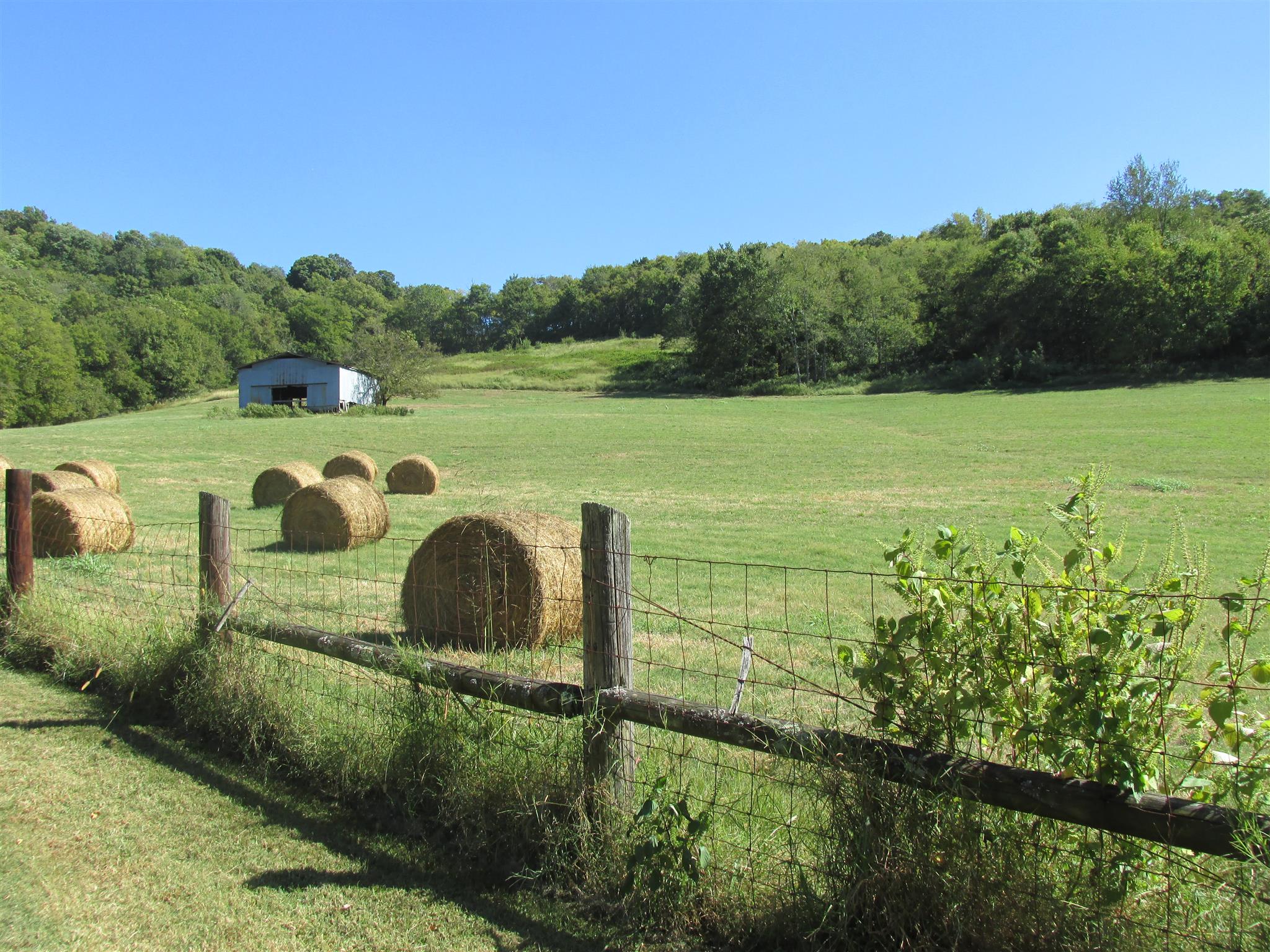 6740 Lane Road College Grove, TN 37046 - Photo 1 of 15 Welcome to 6740 Lane Rd. in College Grove. Picture perfect view of property over looking hill side and barn. Notice the nice hay field.