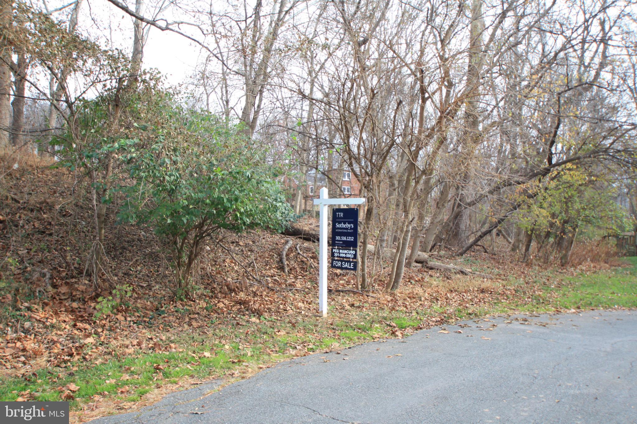 7731 Arrowood Court Bethesda, MD 20817 - Photo 2 of 3 a pathway of a house with large trees