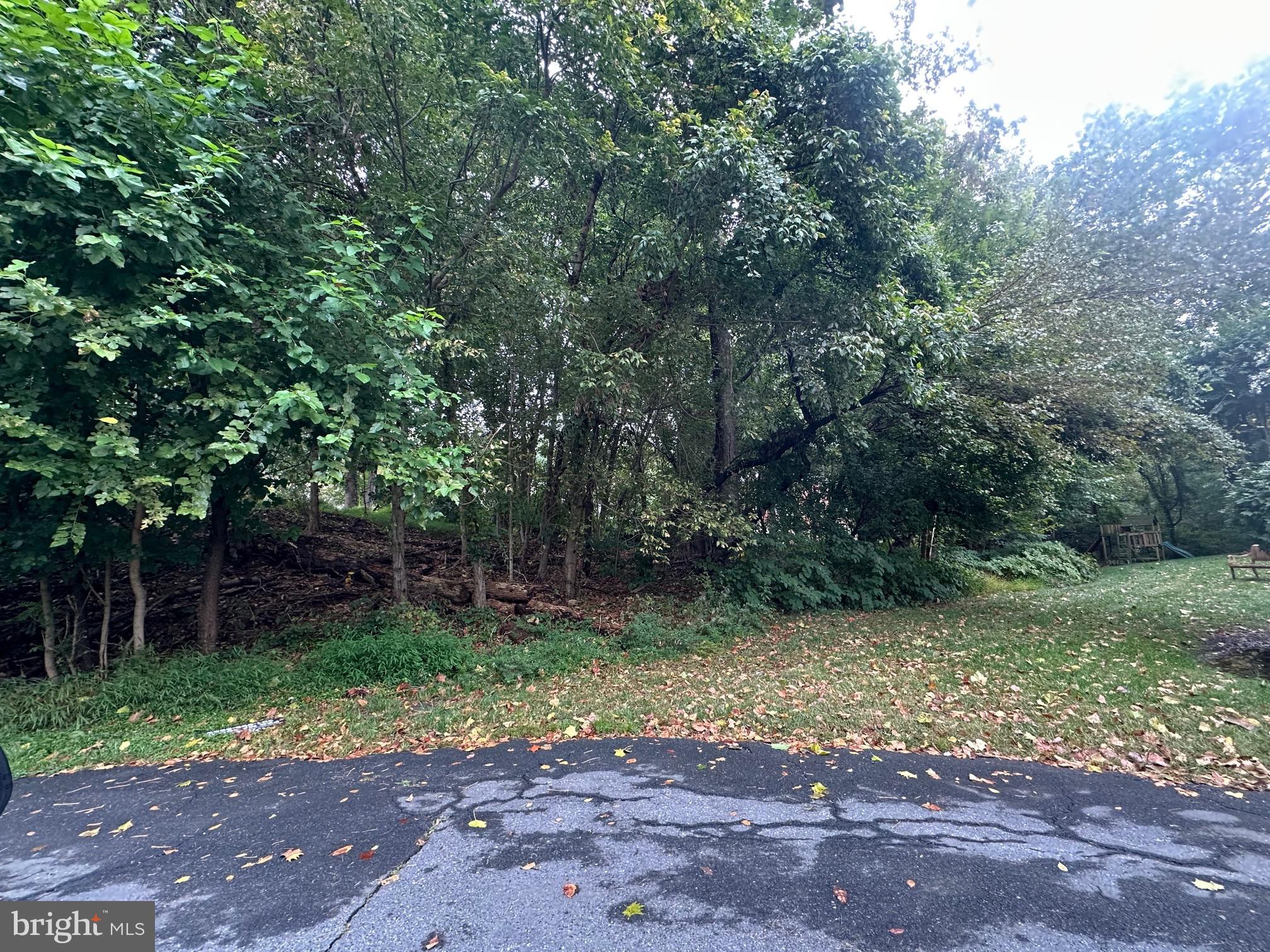 7731 Arrowood Court Bethesda, MD 20817 - Photo 3 of 3 a view of backyard with green space