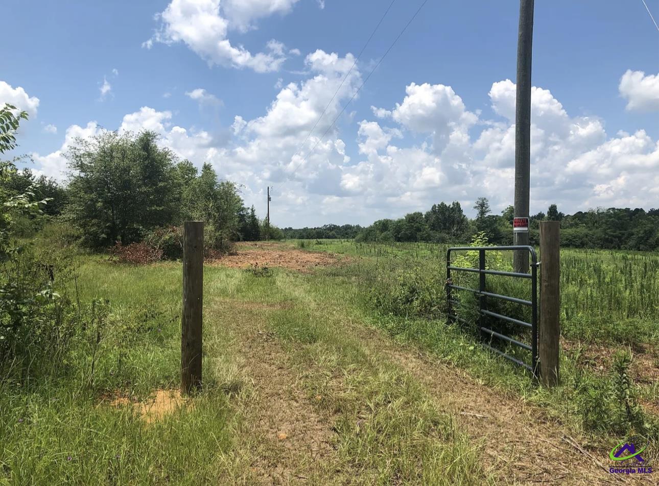 222 Holt Road Hawkinsville, GA 31036 - Photo 8 of 10