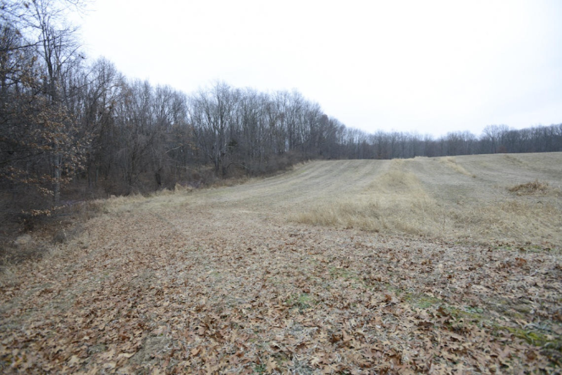 0 Junction Road Marshall, MI 49068 - Photo 11 of 20 Junction Rd Bellevue -25