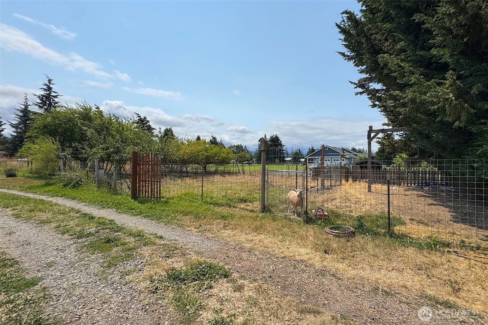 193 Fergy Lane Sequim, WA 98382 - Photo 37 of 40