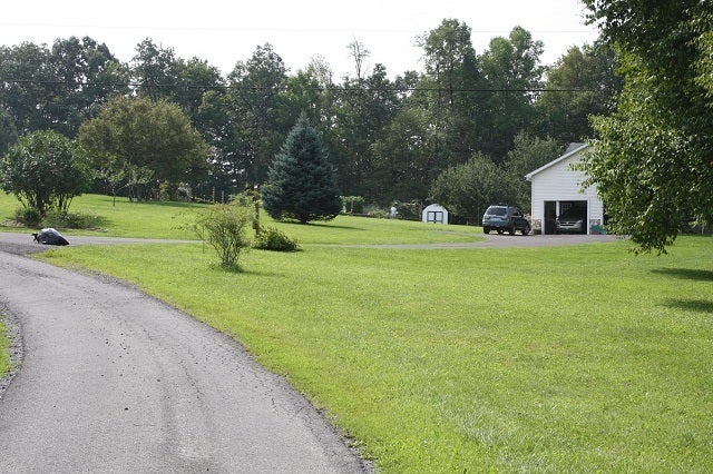 8906 Ridgelawn Road Nettie, WV 26681 - Photo 8 of 14 Street view beside subject