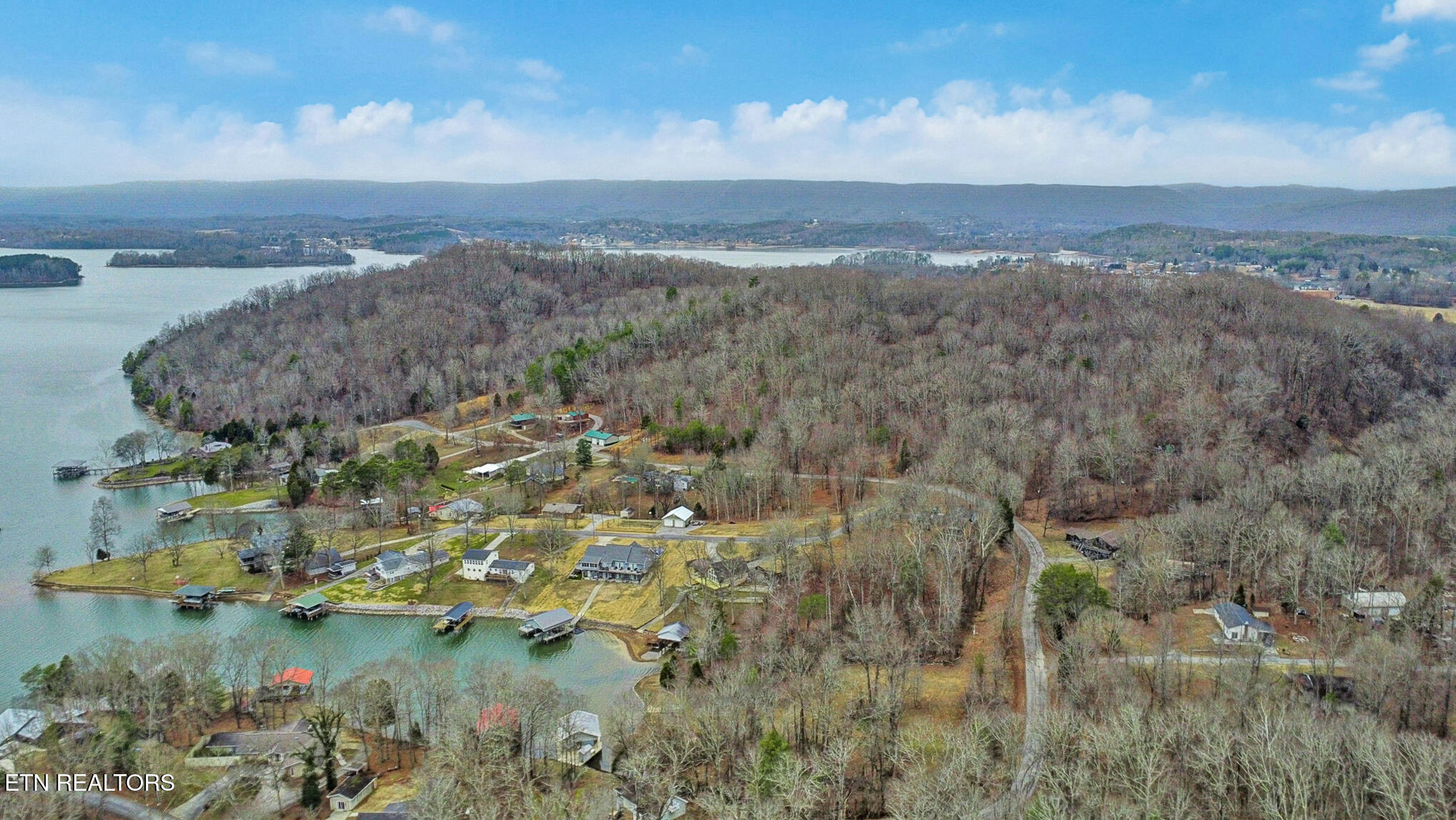 165 Lakeshore Court Spring City, TN 37381 - Photo 13 of 58 dji_0291-dji_0293