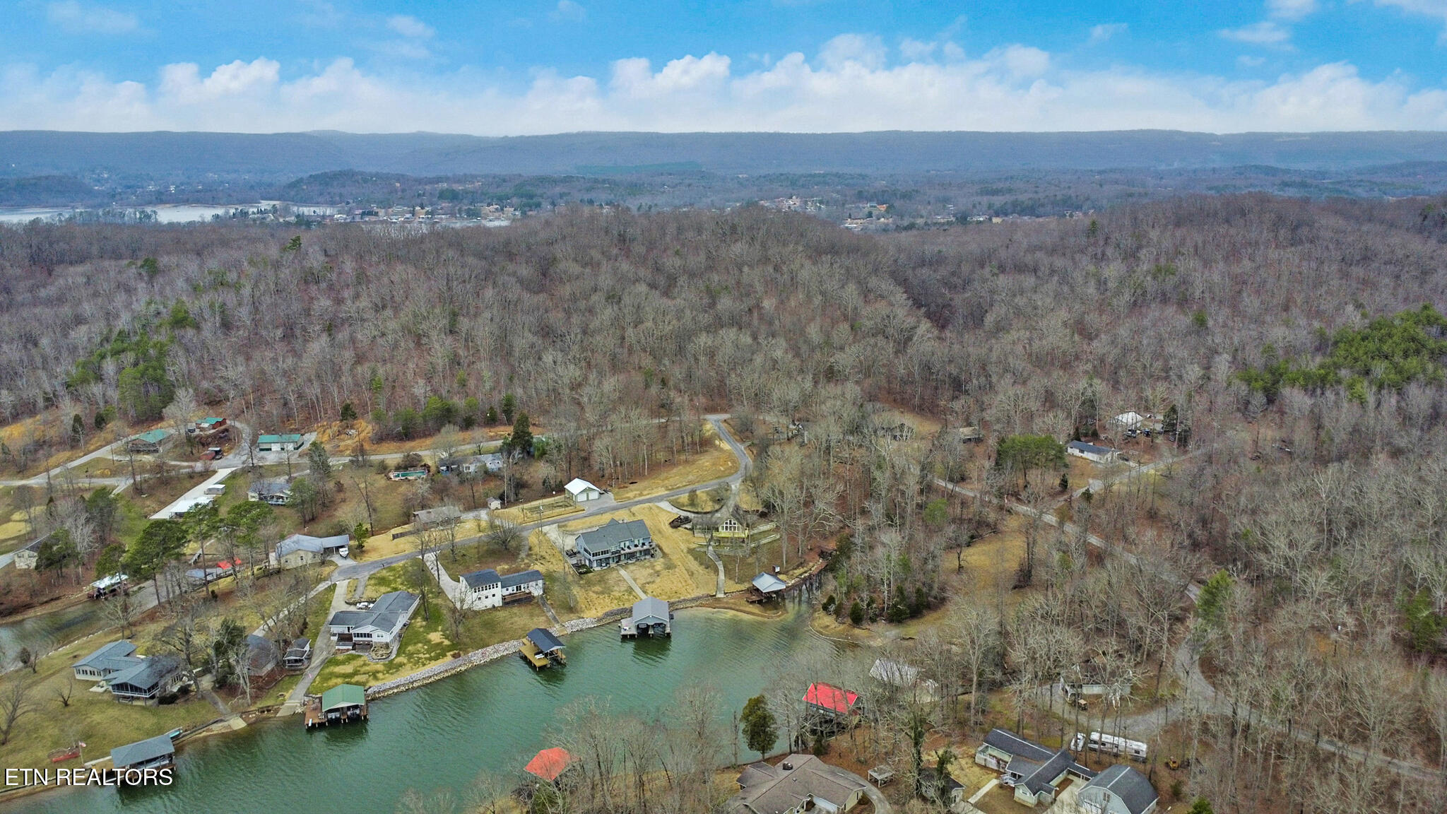 165 Lakeshore Court Spring City, TN 37381 - Photo 14 of 58 dji_0294-dji_0296 (1)