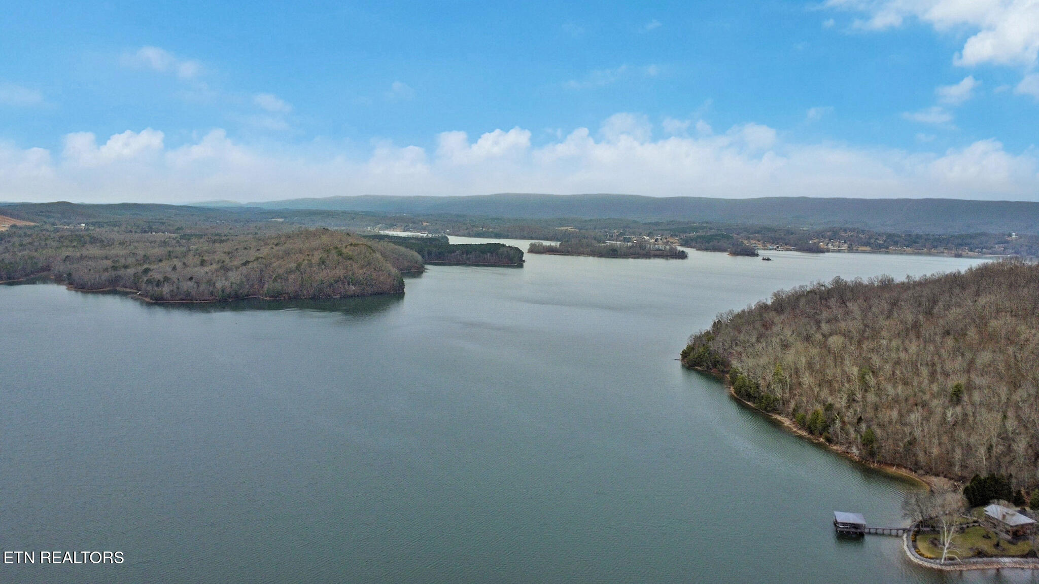 165 Lakeshore Court Spring City, TN 37381 - Photo 15 of 58 dji_0297-dji_0299