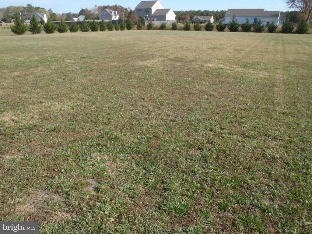 32352 Seatick Road Eden, MD 21822 - Photo 21 of 23 Gallery Image 21