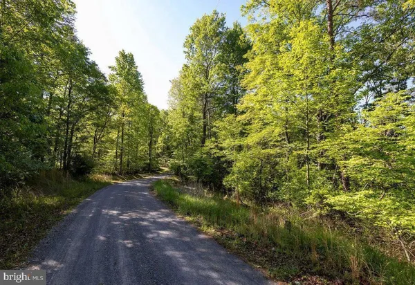 a view of a pathway both side of yard