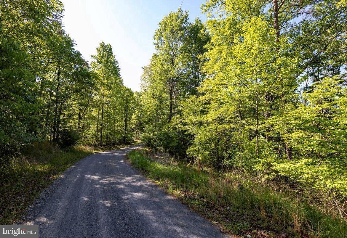 C34 Woodside Drive Rileyville, VA 22650 - Photo 6 of 6 a view of a pathway both side of yard