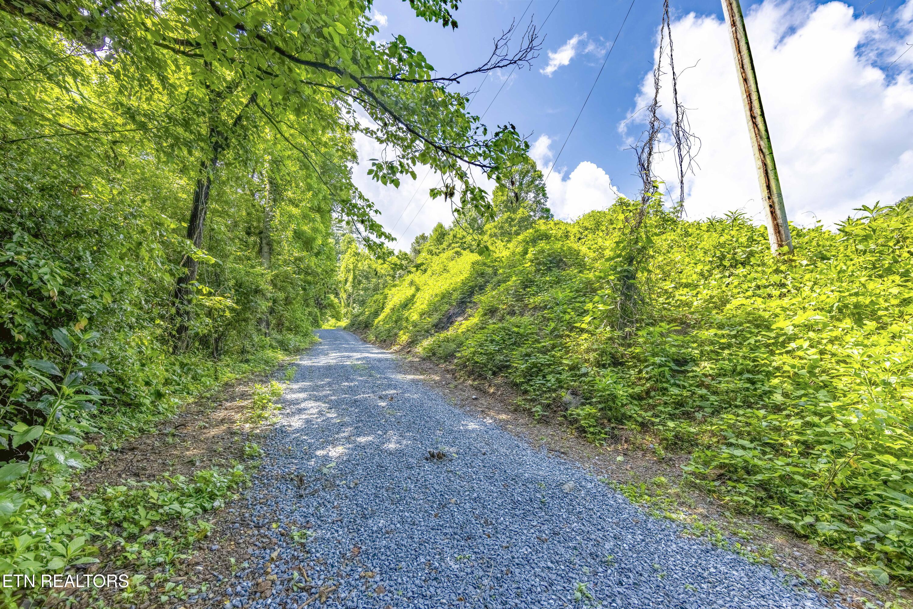 Tbd Blue Mill Road Del Rio, TN 37727 - Photo 1 of 28 a1006A7065-HDR