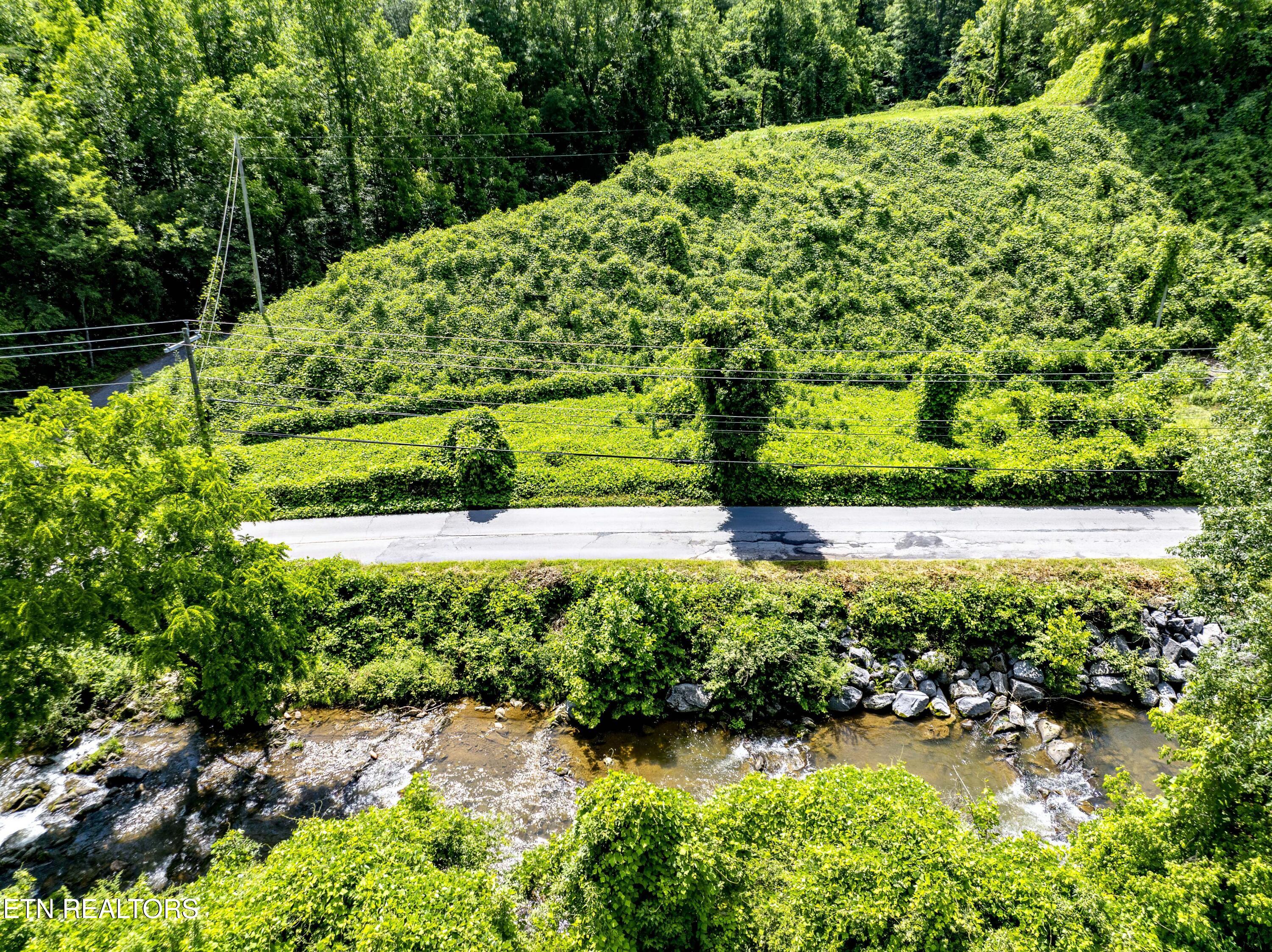 Tbd Blue Mill Road Del Rio, TN 37727 - Photo 11 of 28 a1DJI_0670