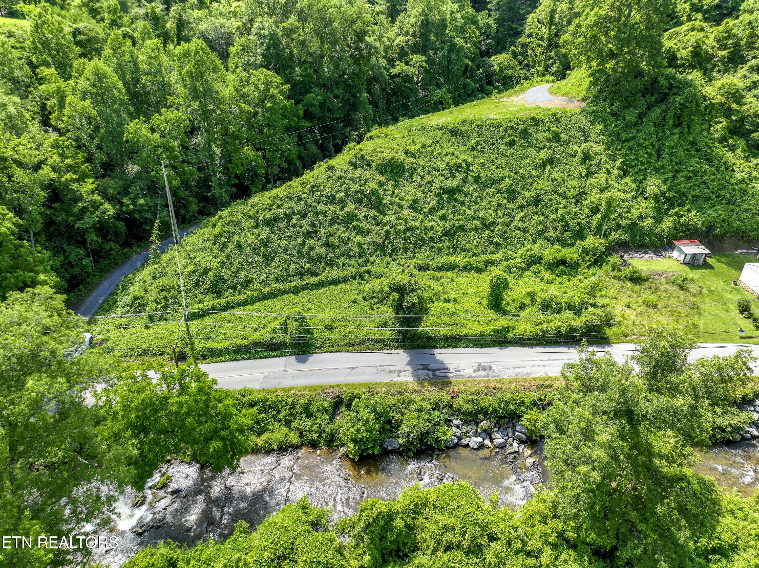 Tbd Blue Mill Road Del Rio, TN 37727 - Photo 12 of 28 a1DJI_0642