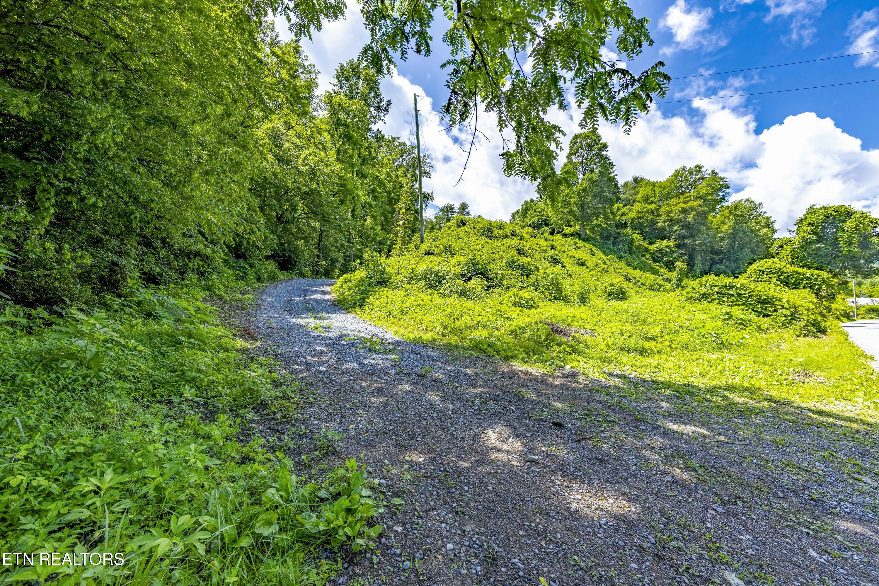 Tbd Blue Mill Road Del Rio, TN 37727 - Photo 2 of 28 a1006A7055-HDR