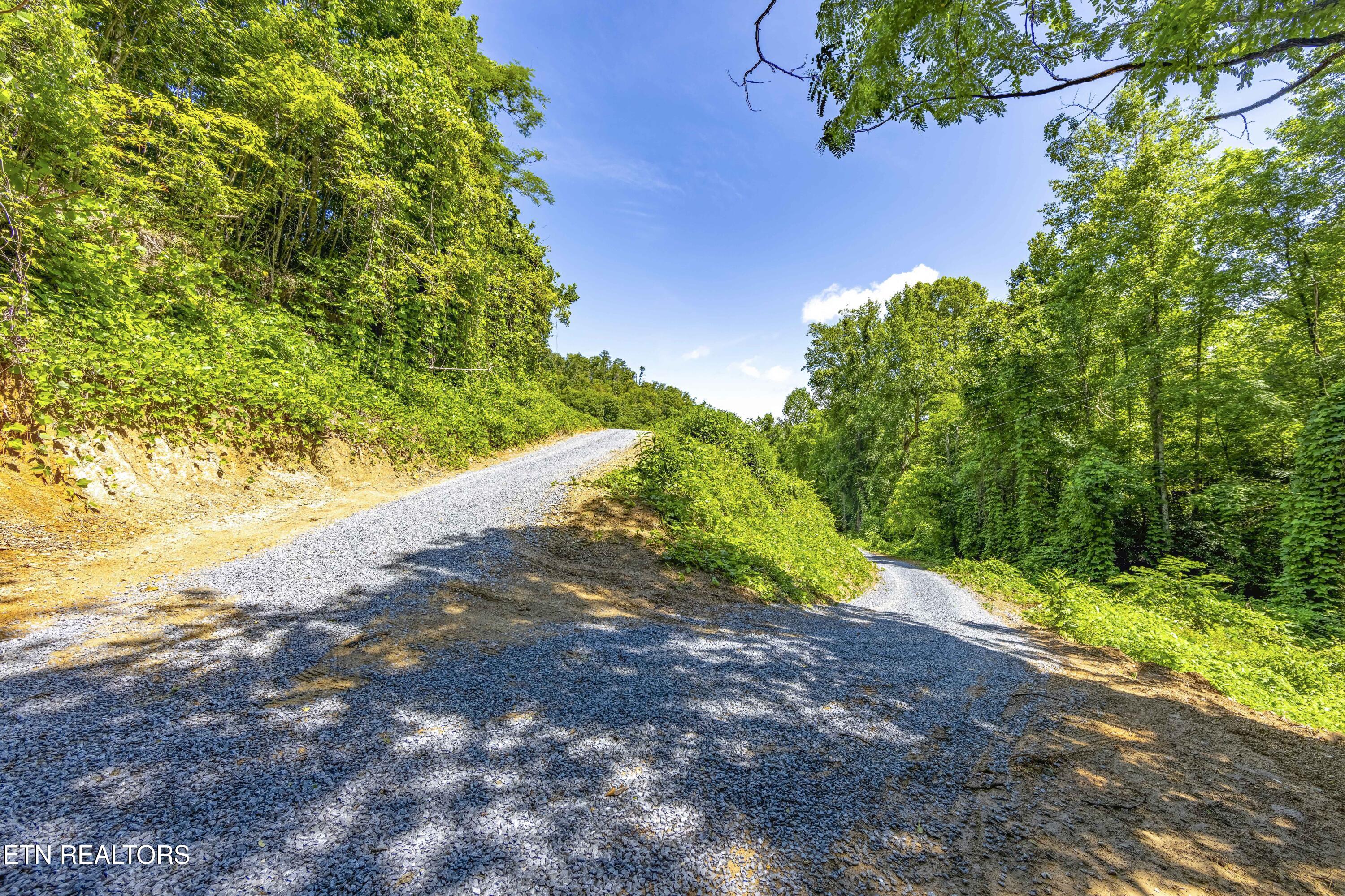 Tbd Blue Mill Road Del Rio, TN 37727 - Photo 3 of 28 a1006A7070-HDR
