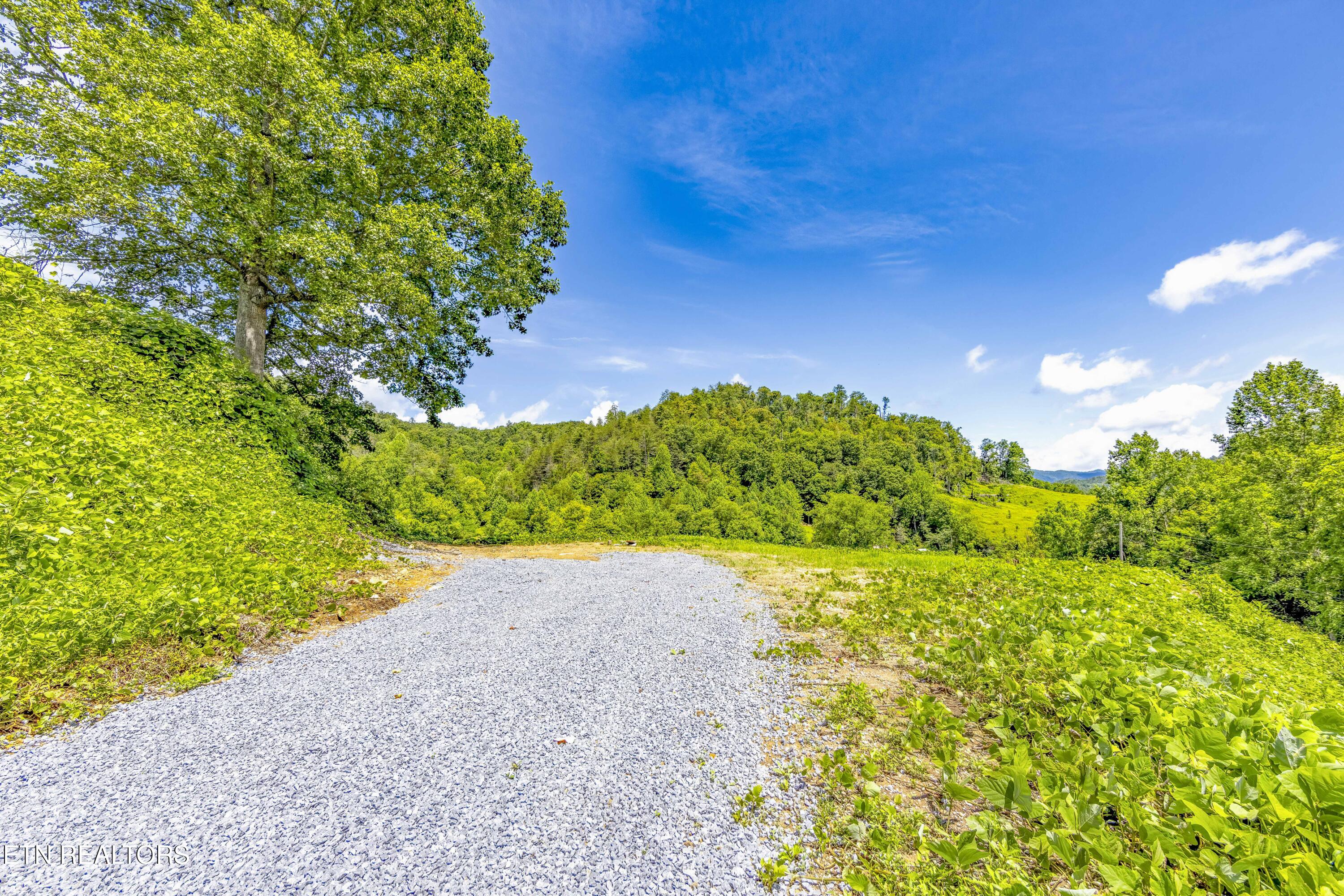 Tbd Blue Mill Road Del Rio, TN 37727 - Photo 4 of 28 a1006A7075-HDR