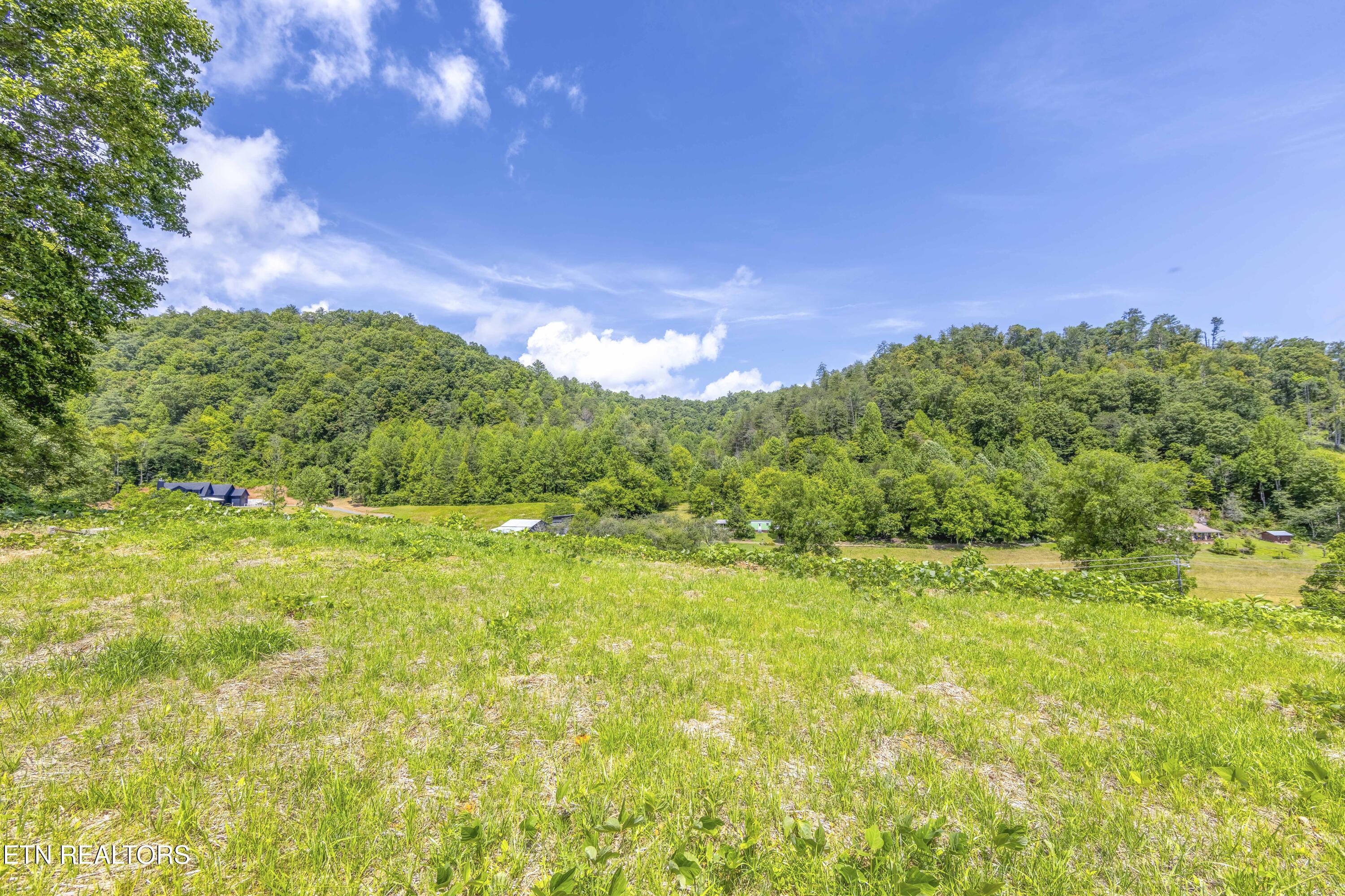 Tbd Blue Mill Road Del Rio, TN 37727 - Photo 5 of 28 a1006A7090-HDR