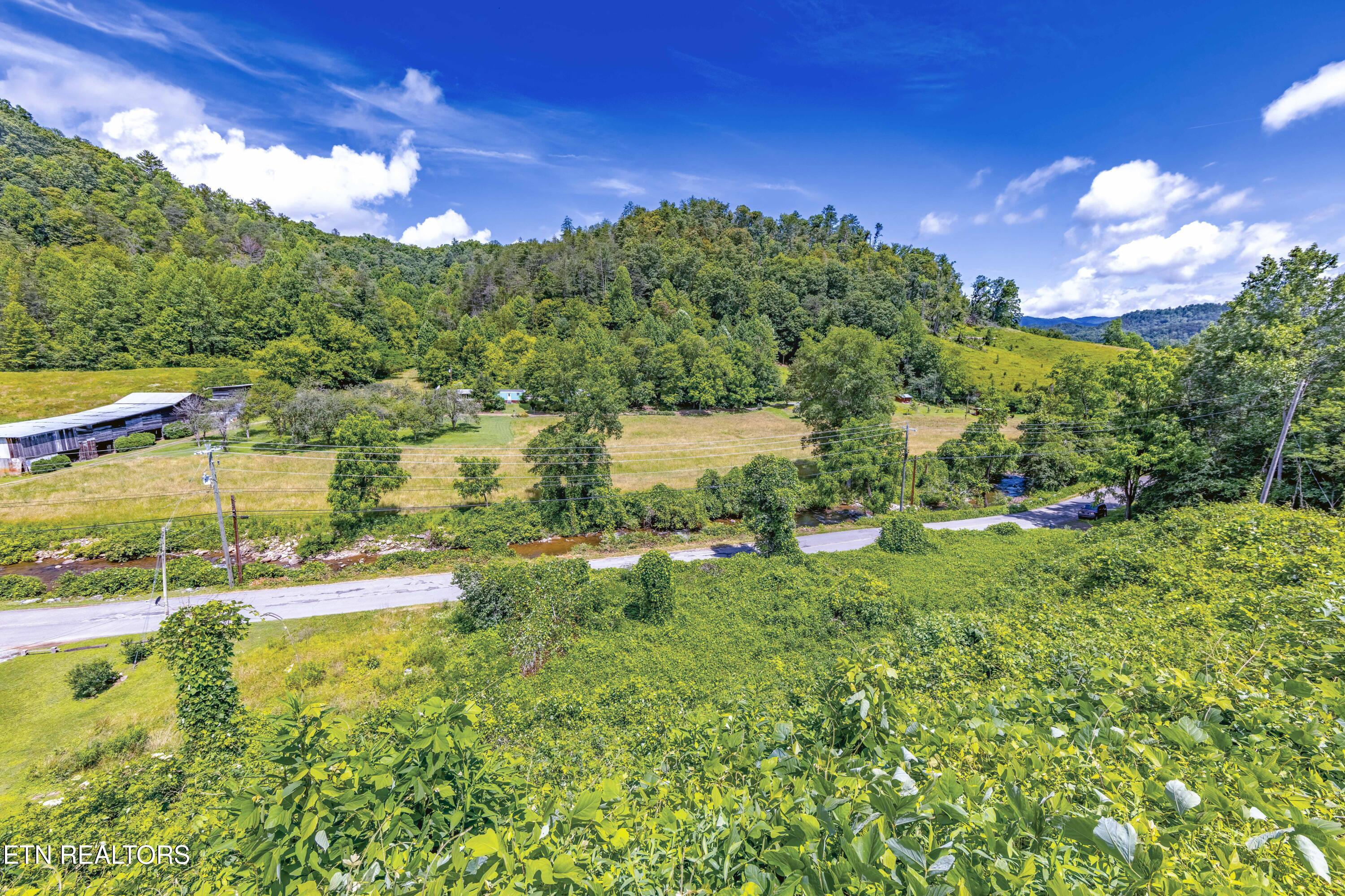 Tbd Blue Mill Road Del Rio, TN 37727 - Photo 6 of 28 a1006A7085-HDR