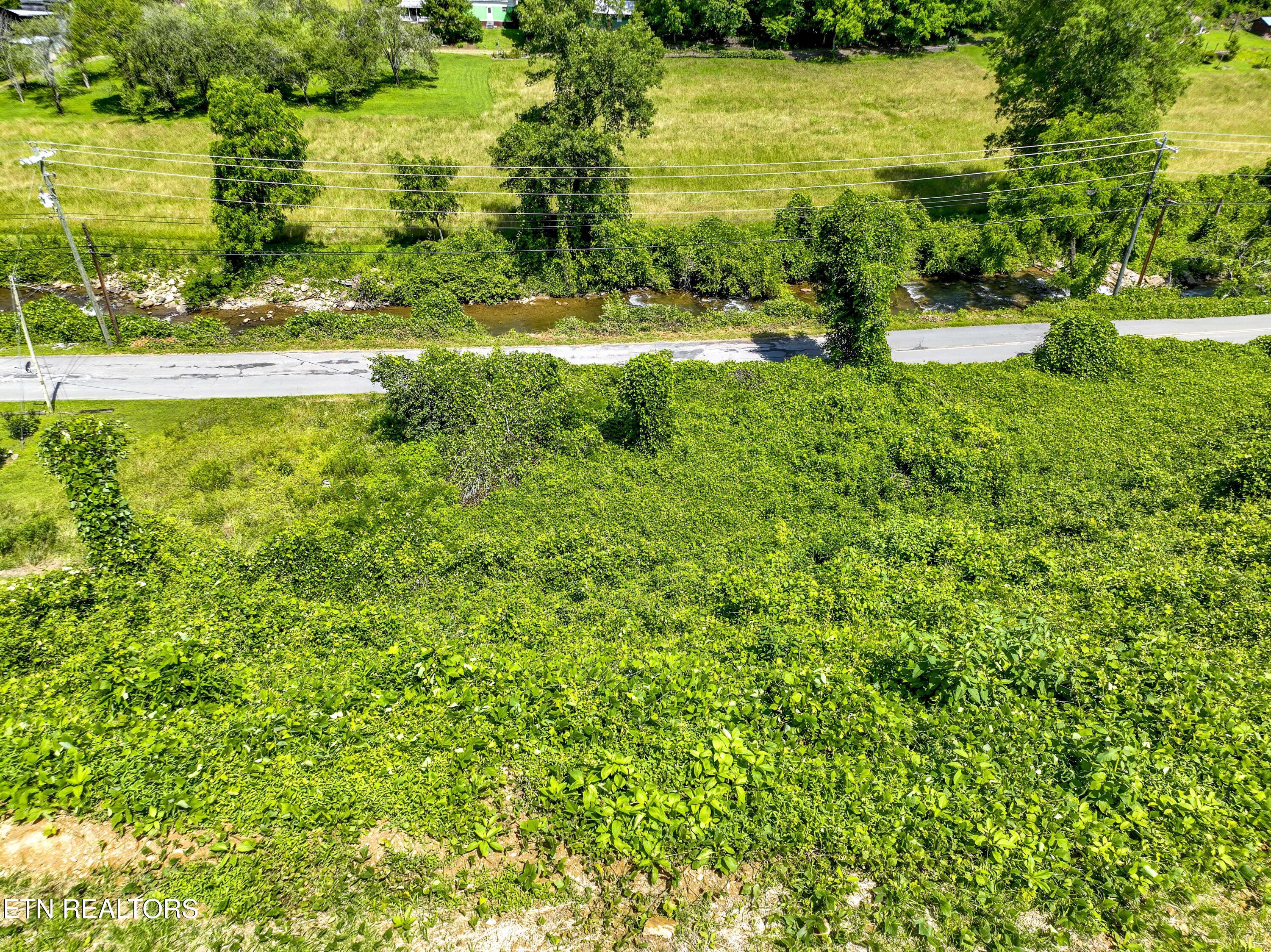 Tbd Blue Mill Road Del Rio, TN 37727 - Photo 7 of 28 a1DJI_0675