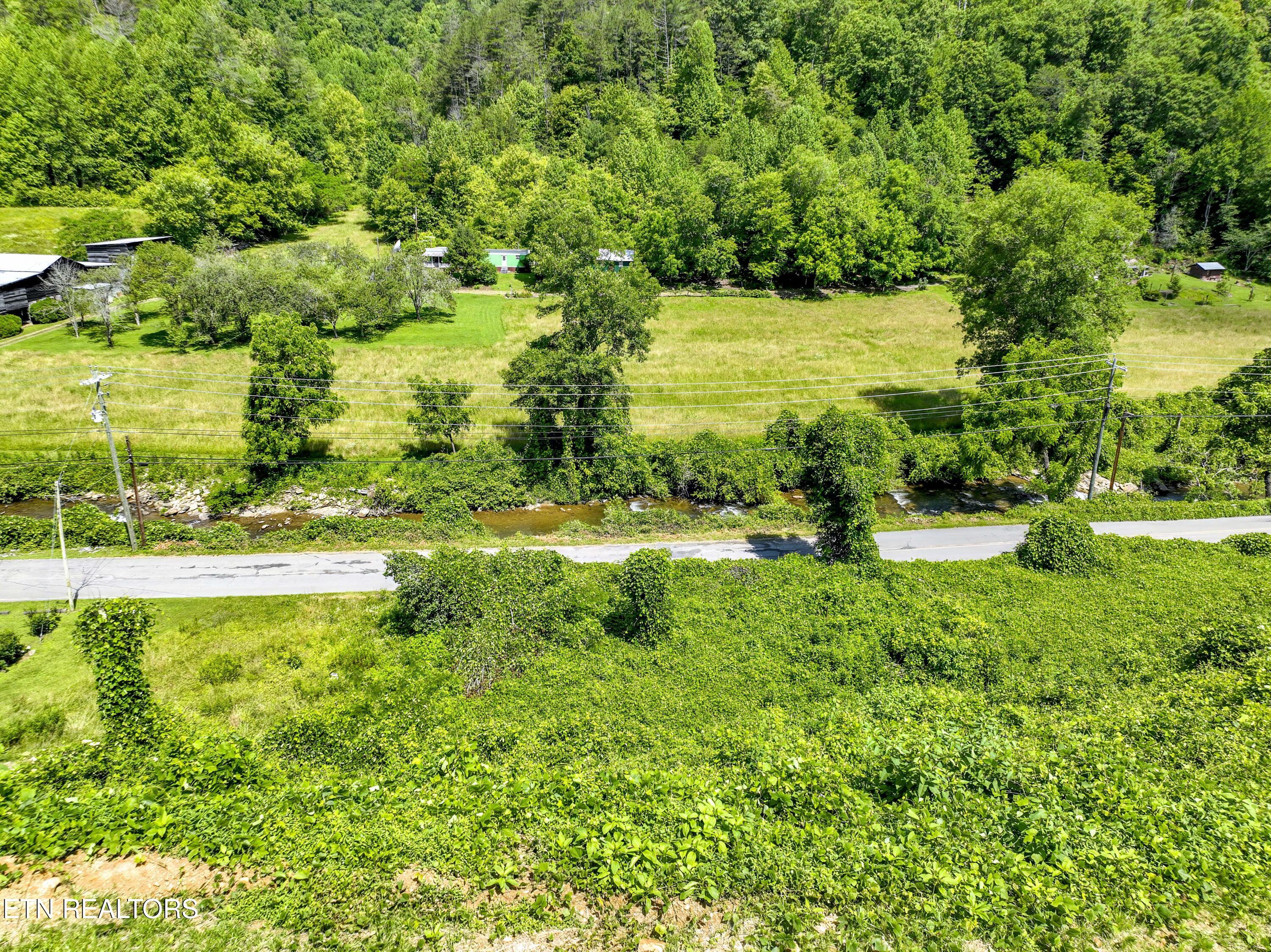 Tbd Blue Mill Road Del Rio, TN 37727 - Photo 8 of 28 a1DJI_0681