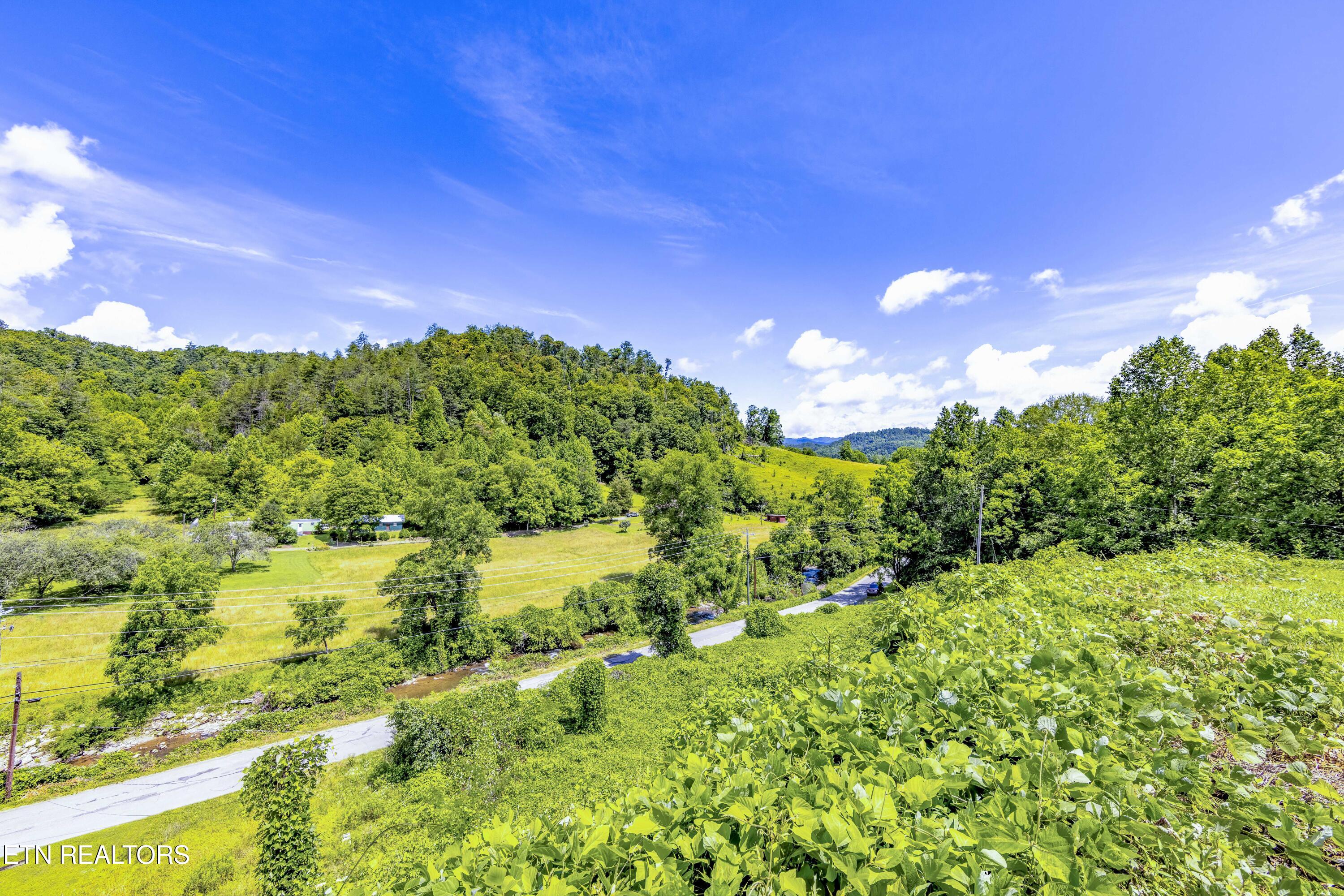 Tbd Blue Mill Road Del Rio, TN 37727 - Photo 9 of 28 a1006A7080-HDR