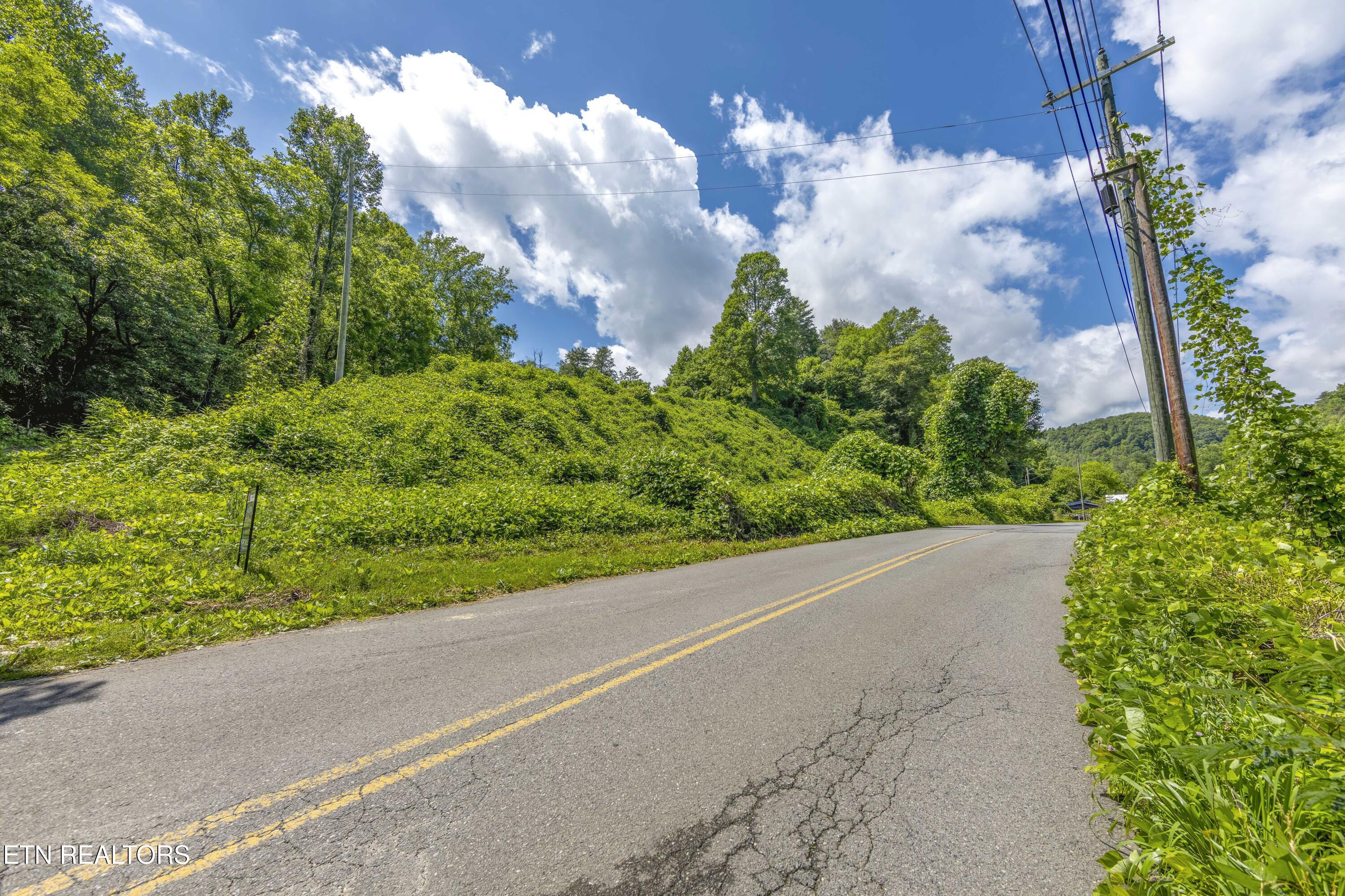 Tbd Blue Mill Road Del Rio, TN 37727 - Photo 10 of 28 a1006A7045-HDR