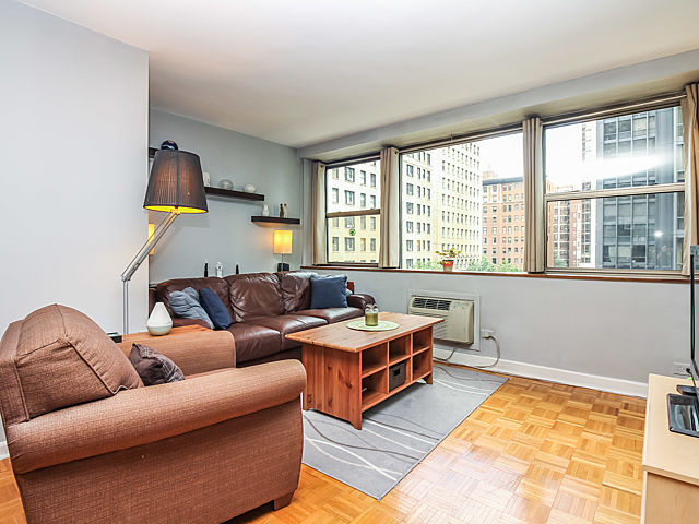 253 East Delaware Place, Unit 5E Chicago, IL 60611 - Photo 3 of 17 a living room with furniture and a window