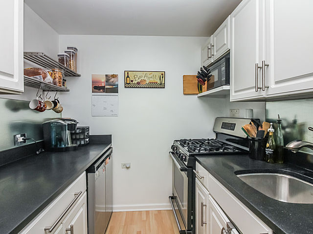 253 East Delaware Place, Unit 5E Chicago, IL 60611 - Photo 10 of 17 a kitchen with stainless steel appliances granite countertop a sink stove and refrigerator