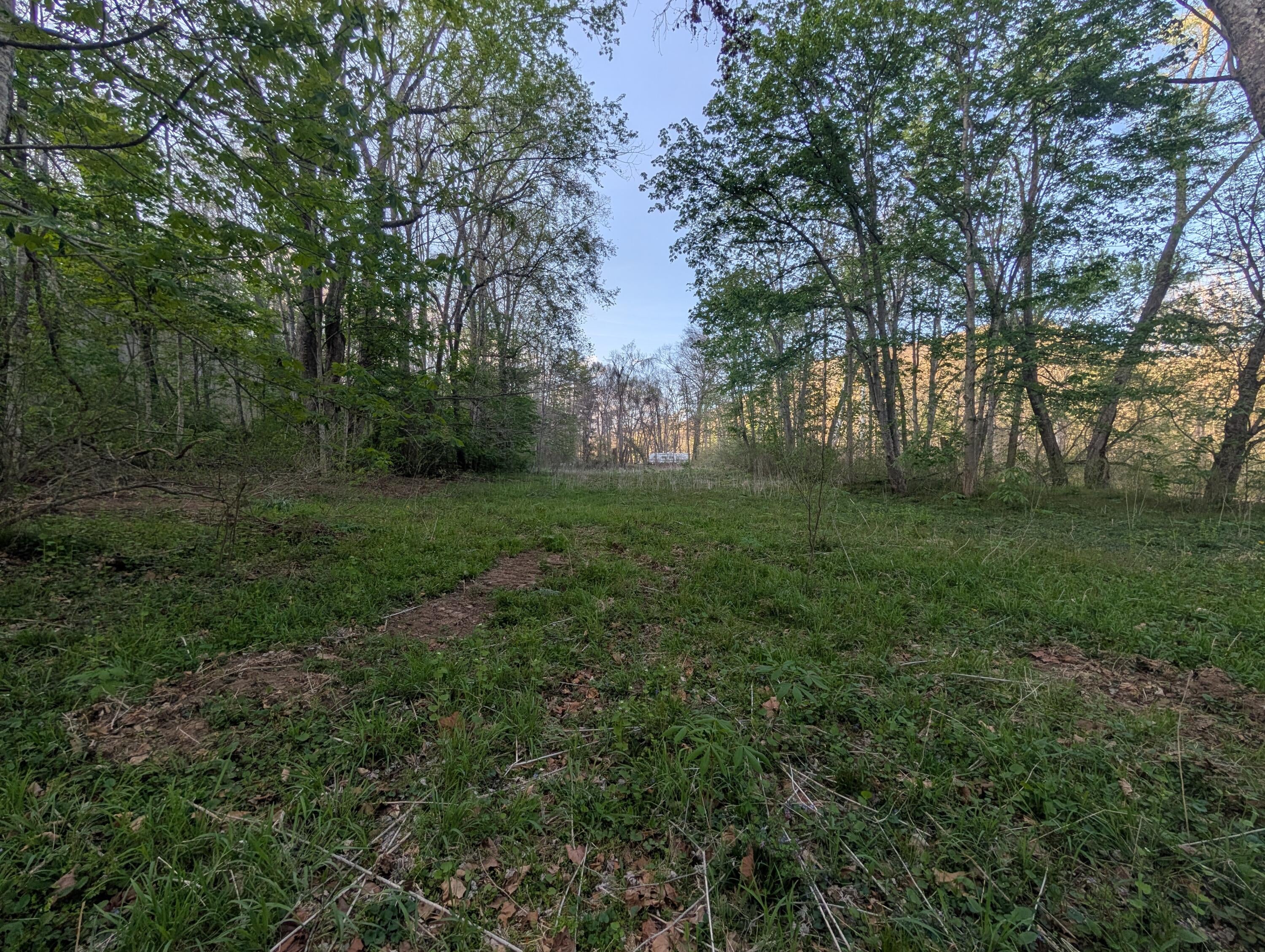 Tbd Keister Road Ronceverte, WV 24970 - Photo 6 of 14 Gallery Image 6