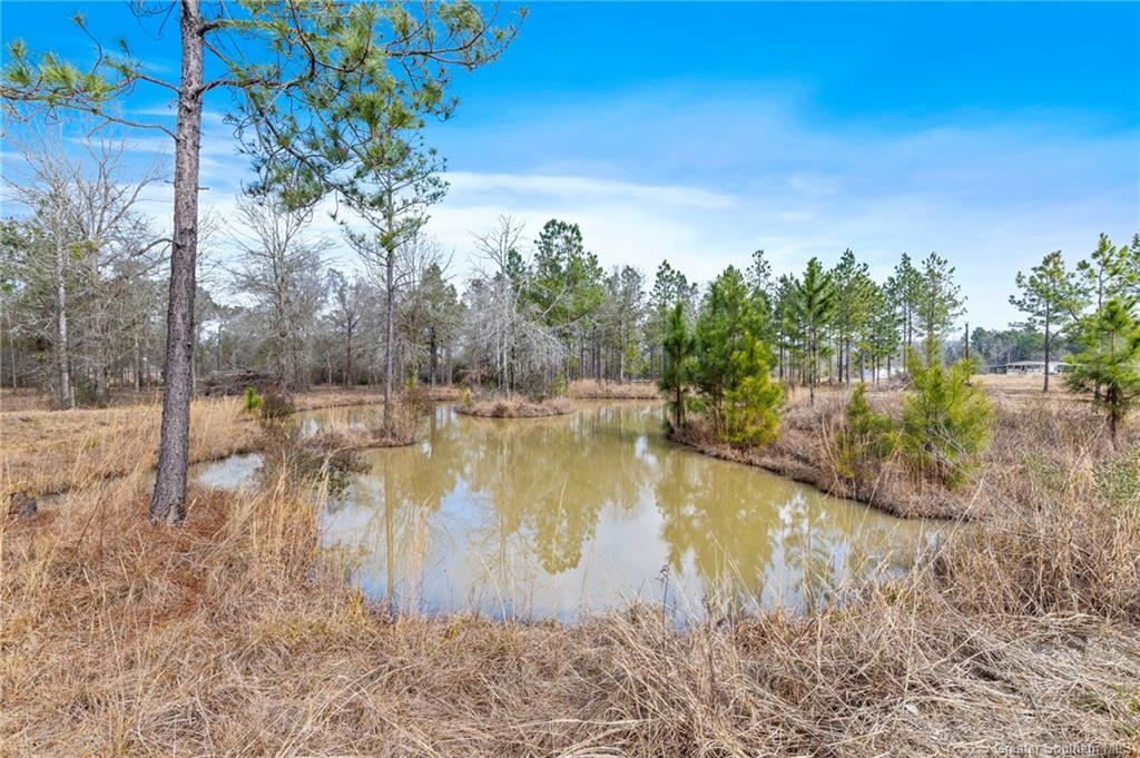 Conway Rosteet Road Ragley, LA 70657 - Photo 5 of 15 Gallery Image 5