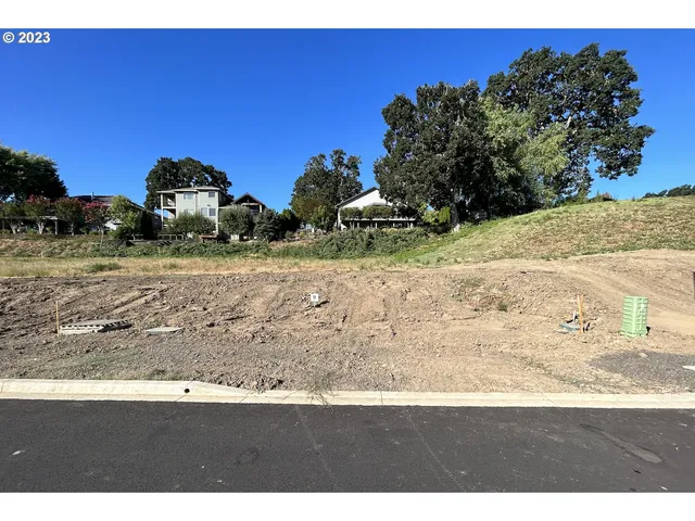 a view of outdoor space and yard