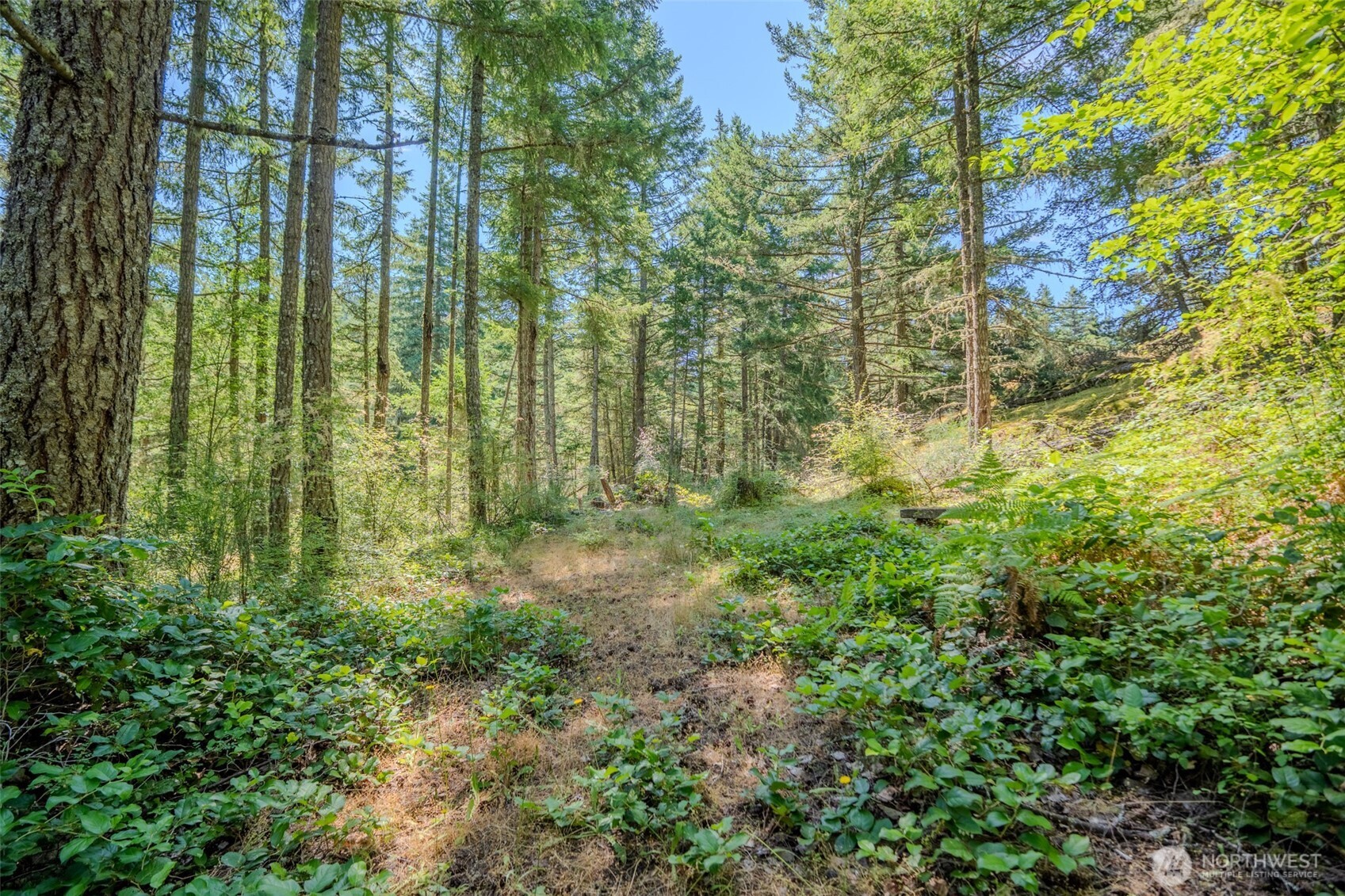 678 Swan Road Orcas Island, WA 98245 - Photo 31 of 39