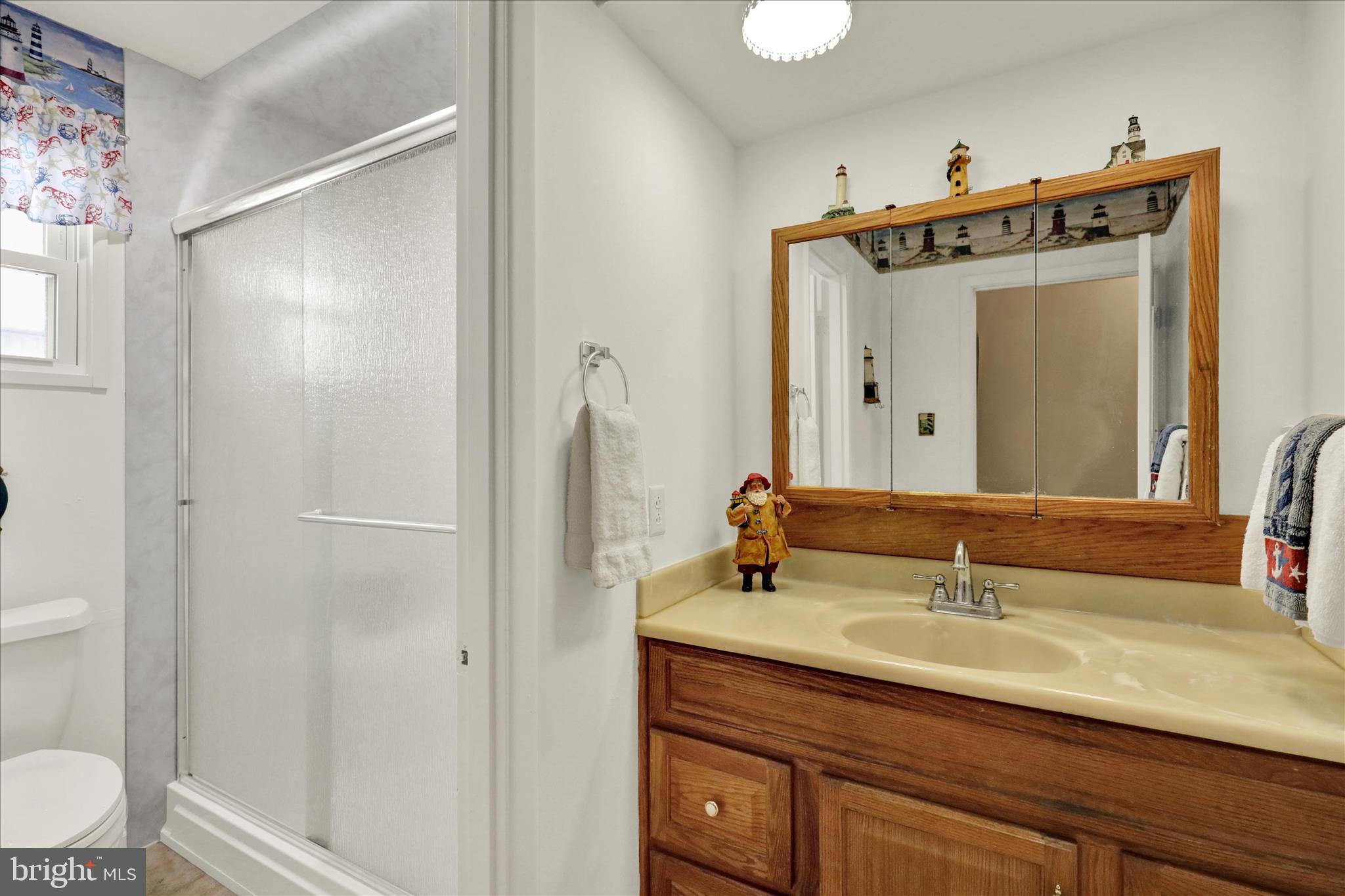 833 Joan Terrace Reading, PA 19611 - Photo 30 of 51 First floor bath with walk-in shower