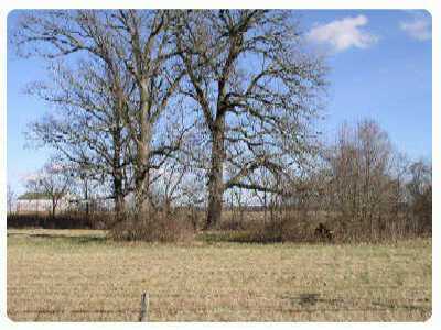 0 Cedar Hill Road, Unit L5 Canal Winchester, OH 43110 - Photo 1 of 1