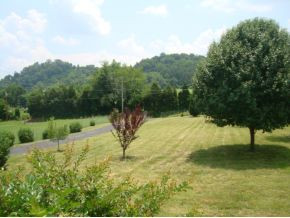 4067 Carters Valley Road Church Hill, TN 37642 - Photo 10 of 13 Photo 10
