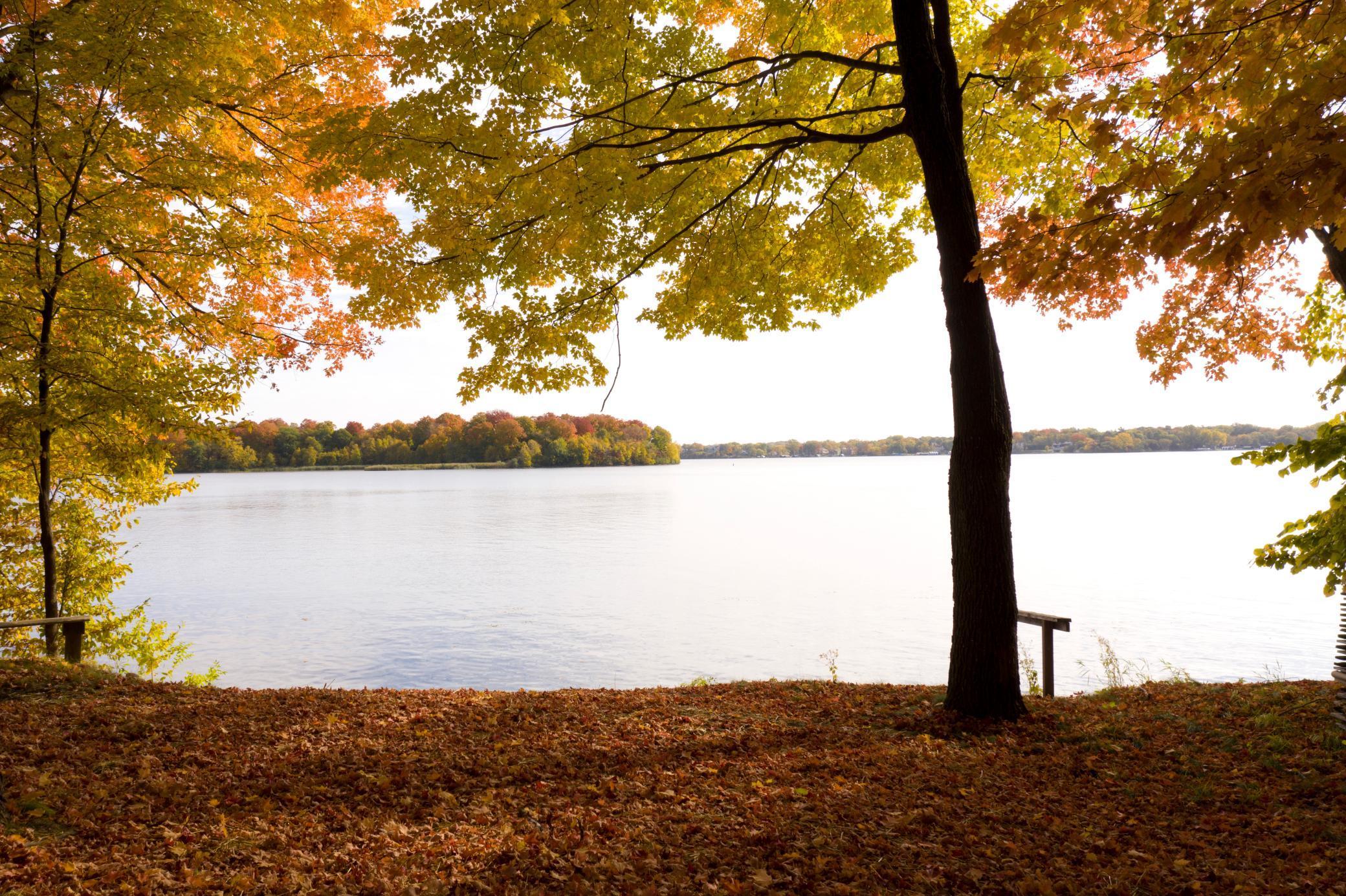 160 Big Island Orono, MN 55331 - Photo 3 of 18