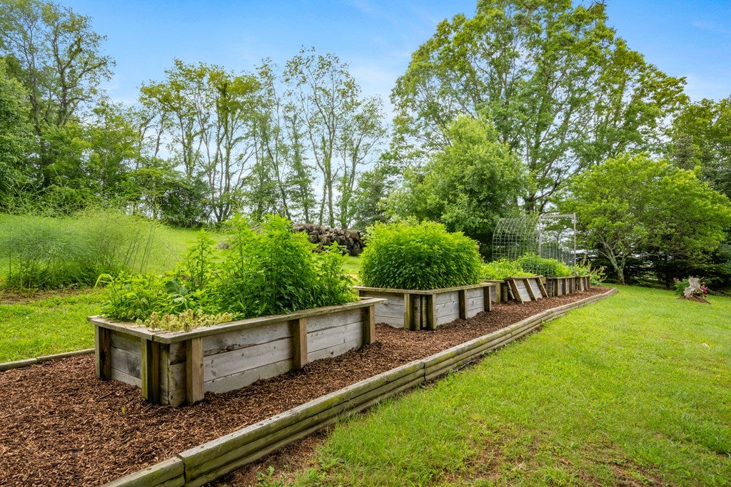 227 Dutton Hollow Road Rural Retreat, VA 24368 - Photo 61 of 81 Gallery Image 61