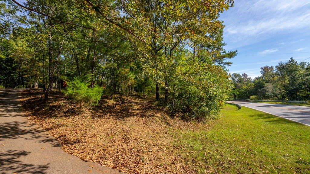 0 Lick Skillet Road Fortson, GA 31808 - Photo 2 of 14 Gallery Image 2