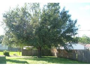 1527 Northwest Reed Palm Bay, FL 32907 - Photo 5 of 6 Additional Photo