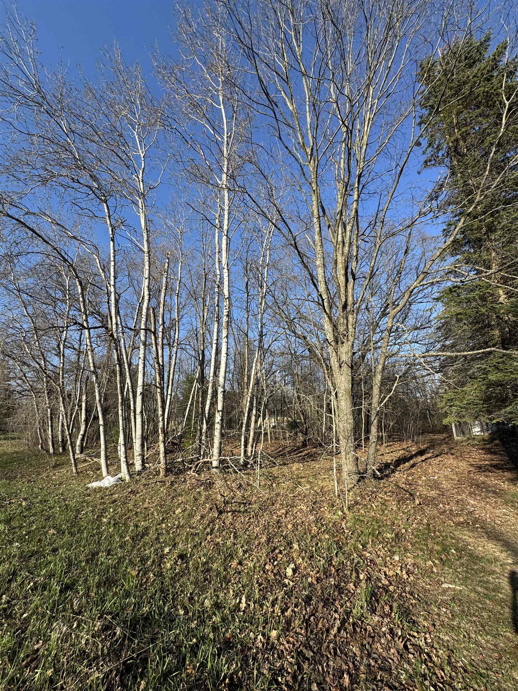 3603 Cecil Road Cadillac, MI 49601 - Photo 5 of 8