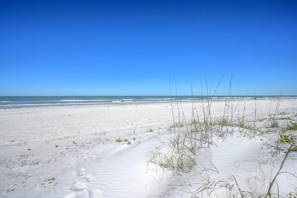 a view of beach and yard