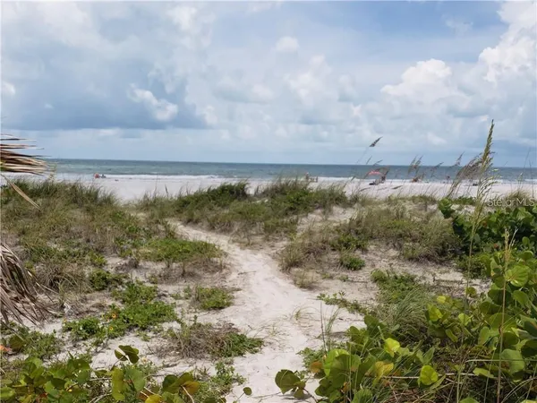 a view of a swimming pool with lawn chairs potted plants and palm trees