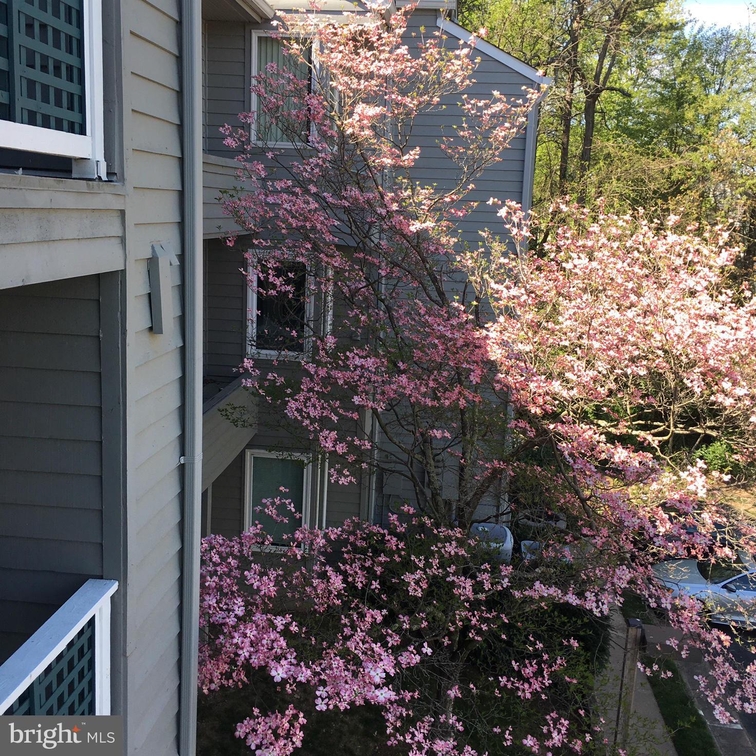 11703 E Summerchase Circle Reston, VA 20194 - Photo 13 of 16 BALCONY